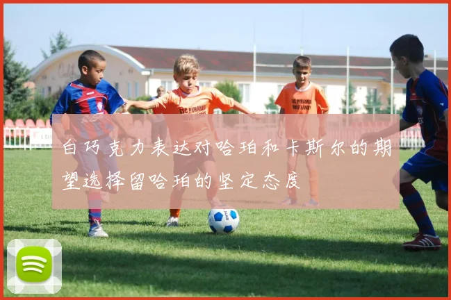 白巧克力表达对哈珀和卡斯尔的期望选择留哈珀的坚定态度