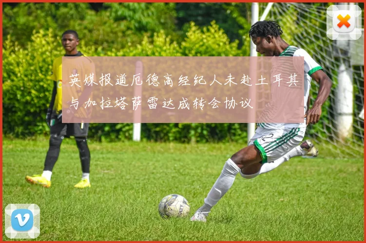 英媒报道厄德高经纪人未赴土耳其与加拉塔萨雷达成转会协议
