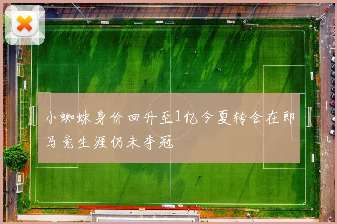小蜘蛛身价回升至1亿今夏转会在即马竞生涯仍未夺冠